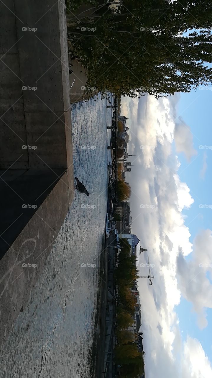 Paris, River, capitale