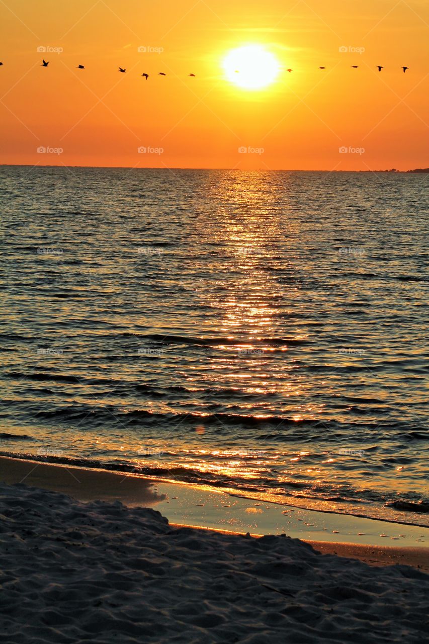 Alabama Sunset & pelicans