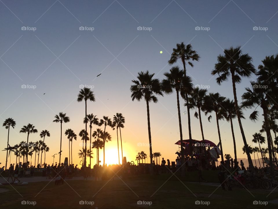 Sunset at Venice Beach in Los Angeles, California 
