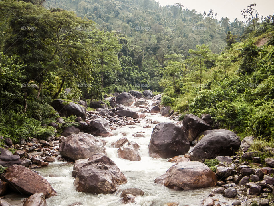 Main tributary of river Teesta, the Rangit river flowing through a dense pristine jungle in northeast of Rangpo Chu at Rangpo settlement just before the Teesta bridge at entrance to East Sikkim.