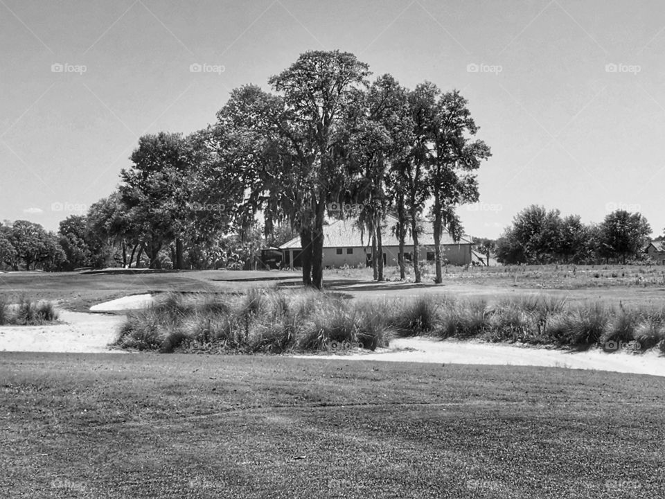 Golf in black and white