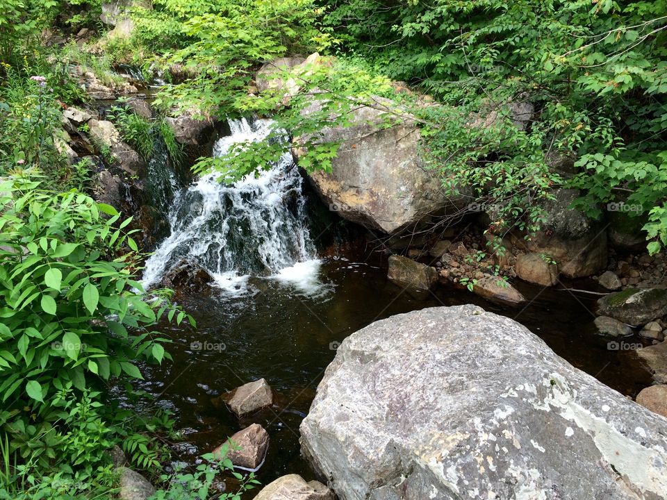 Waterfall in a small forest.