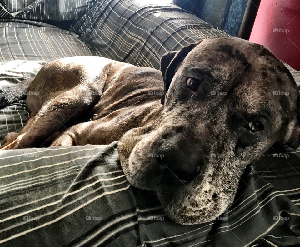 No sorry, there's no room left here. Find somewhere else to sit. 