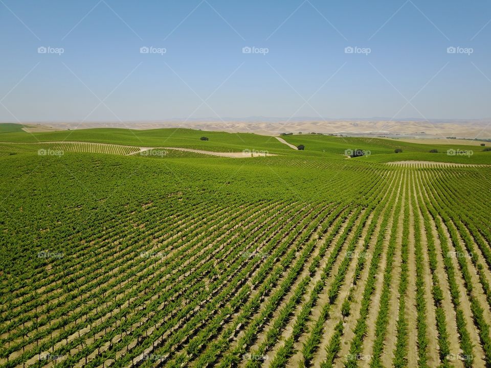 Agriculture, Field, Farm, Landscape, Rural