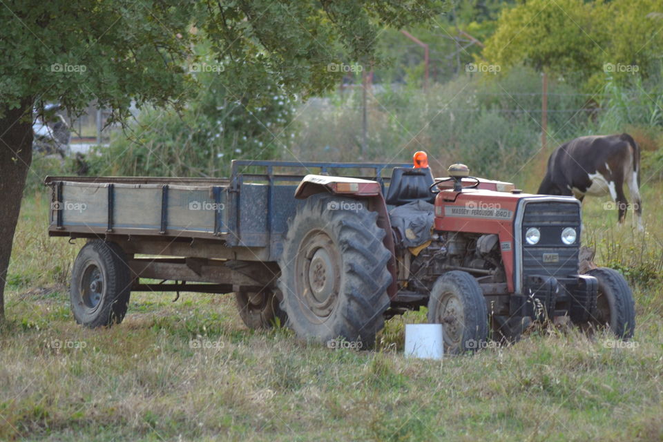 tractor and wagoon