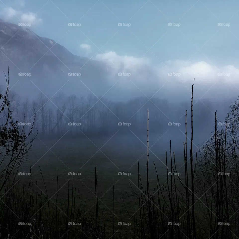 Fogscape 
