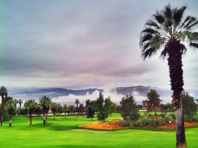 Colorful Desert Golf Course . Green grass on golf course 