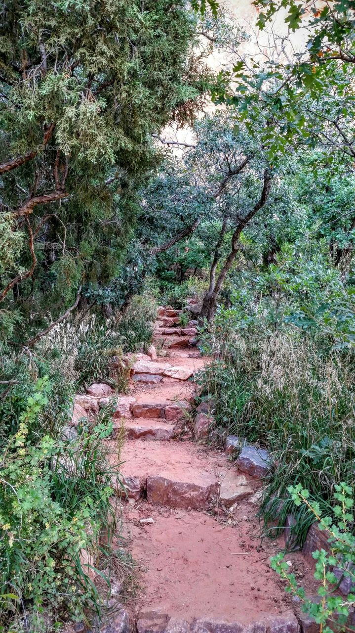 Rugged Pathway