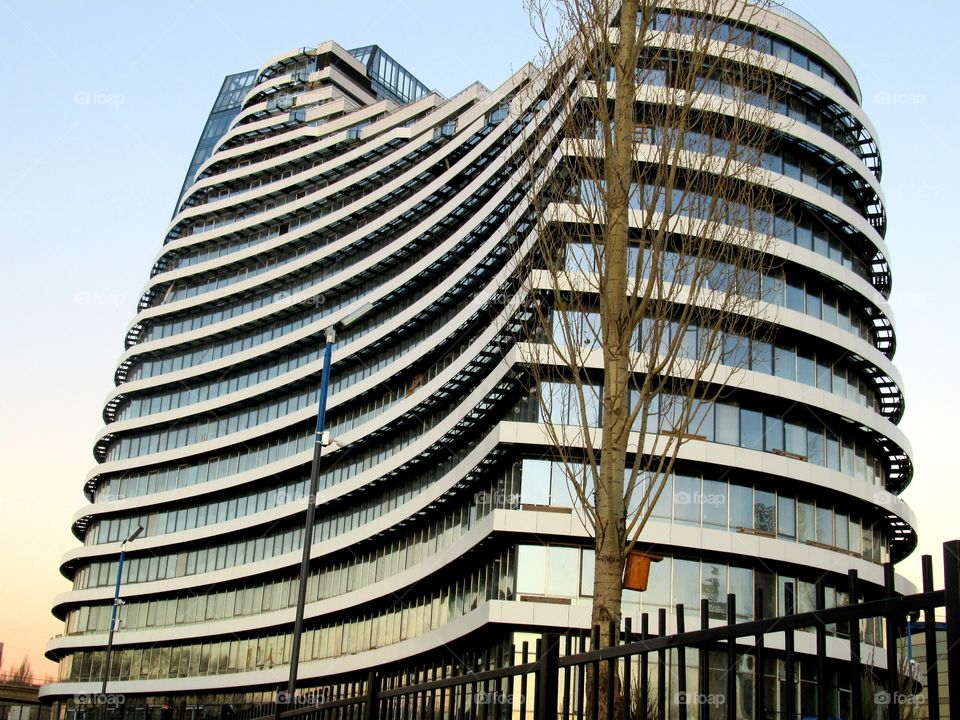 birdhouse and large birdhouse for humans