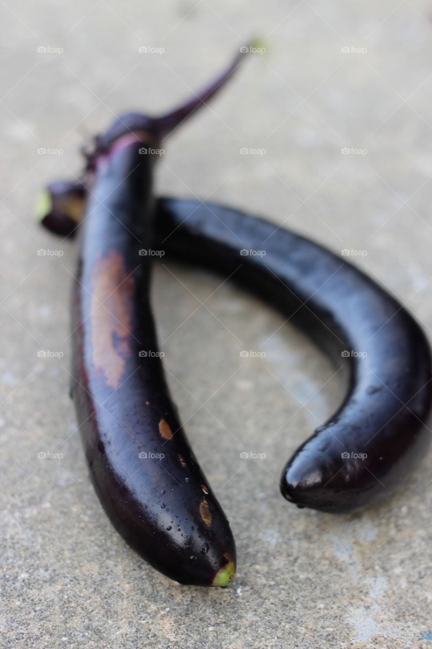 Egg plant