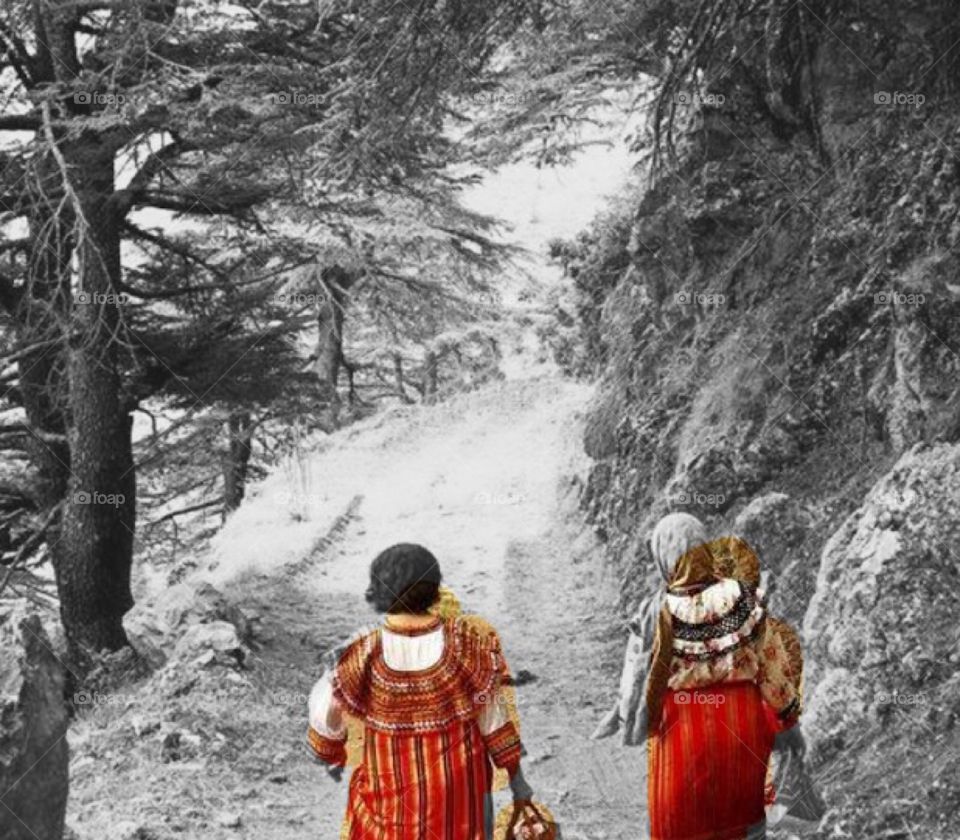 Kabyle women 