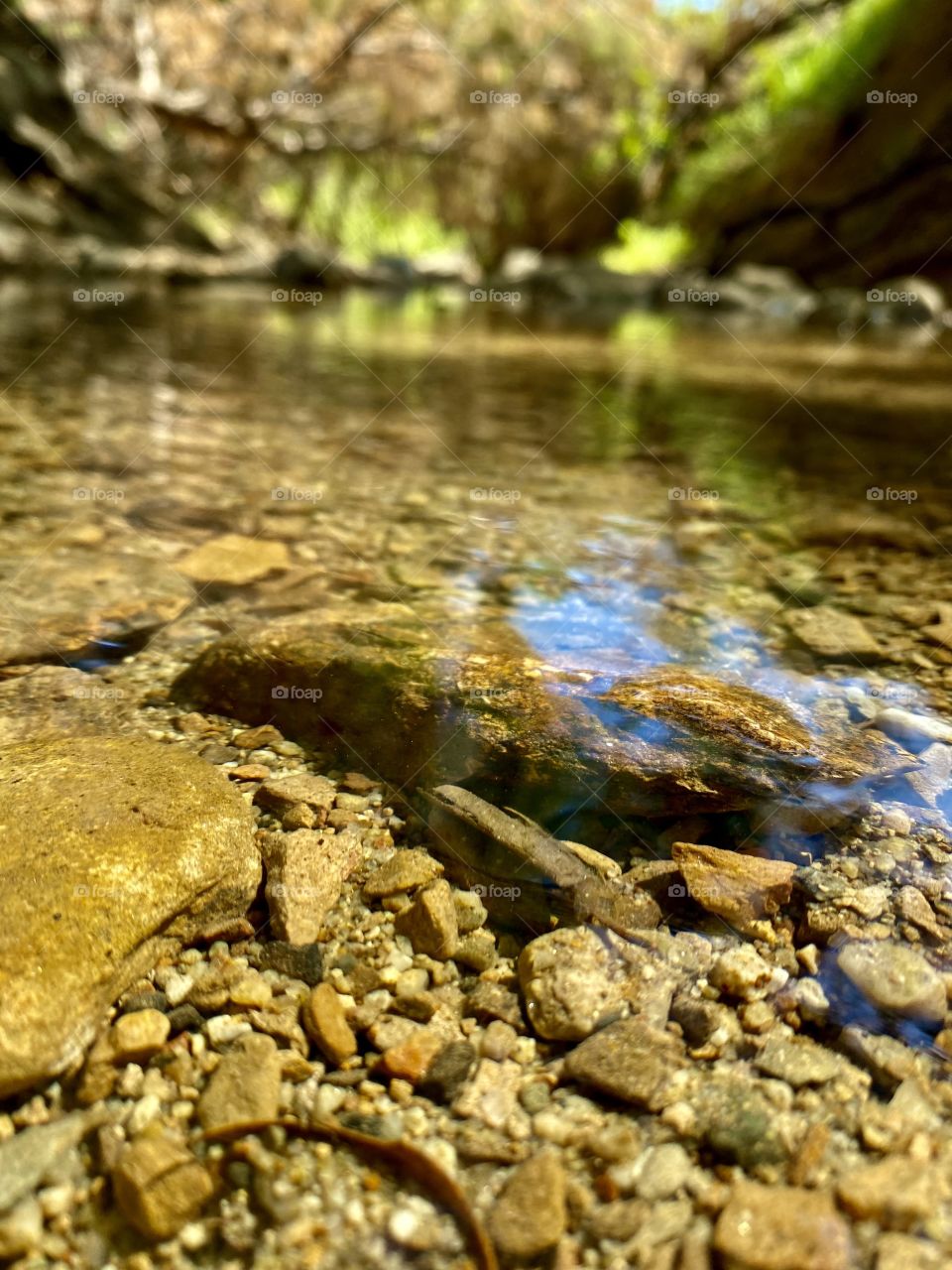 Creek at Limekiln Canyon Park in Los Angeles California 