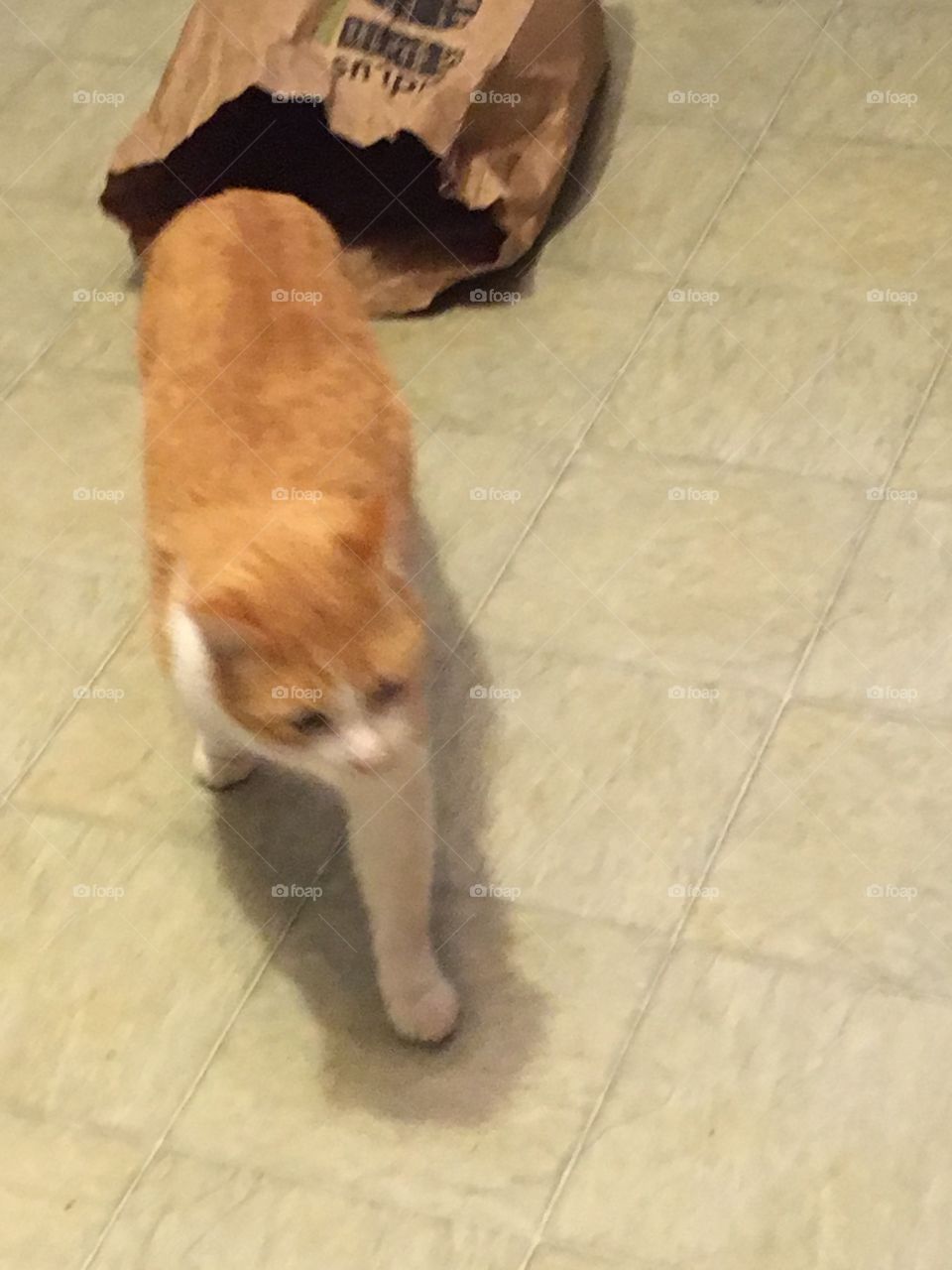 I’m outta here! My bag is getting to much attention from the dog. Hold the door.