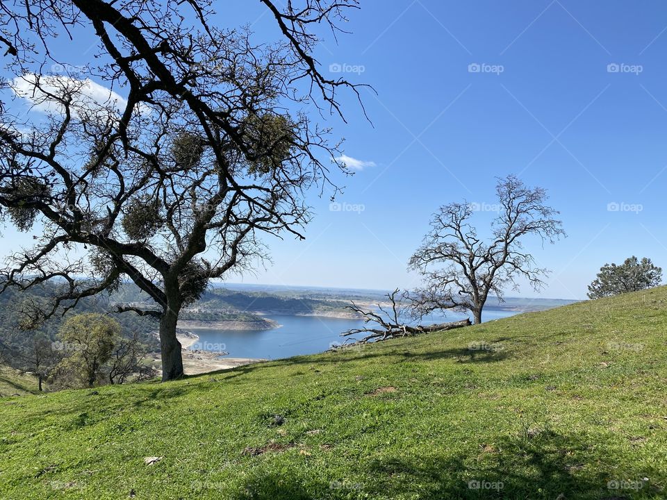 Millerton Lake