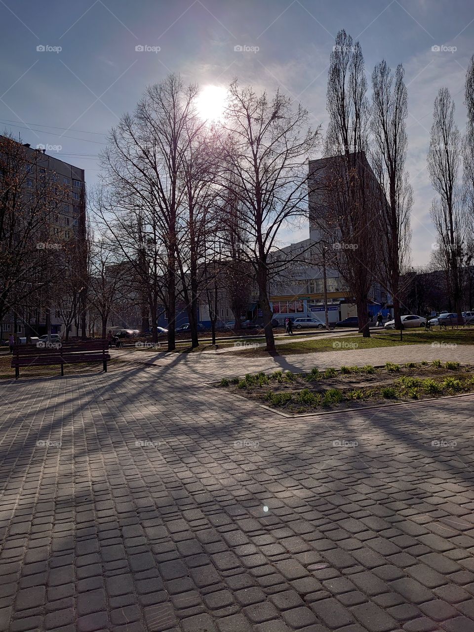 sunny and warm day. I sat on a bench, drank coffee and decided to capture this moment of carelessness in the photo.