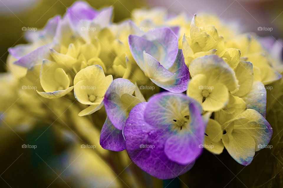 When nature has inspiration 