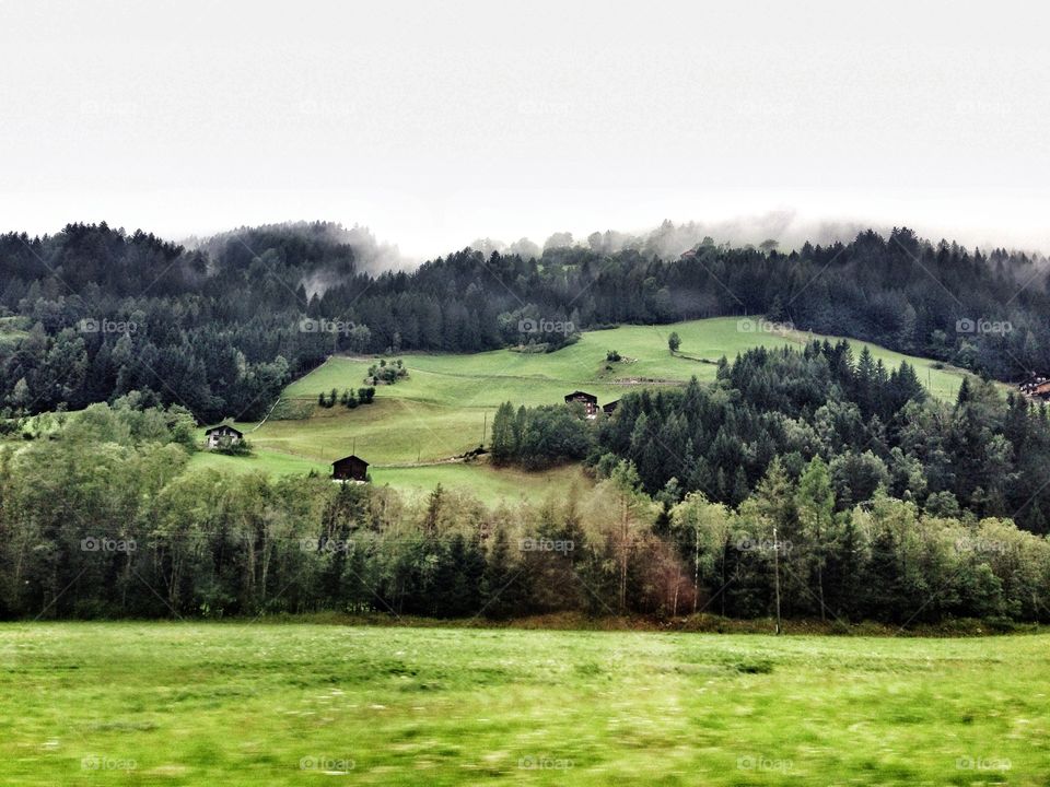 Austrian fields