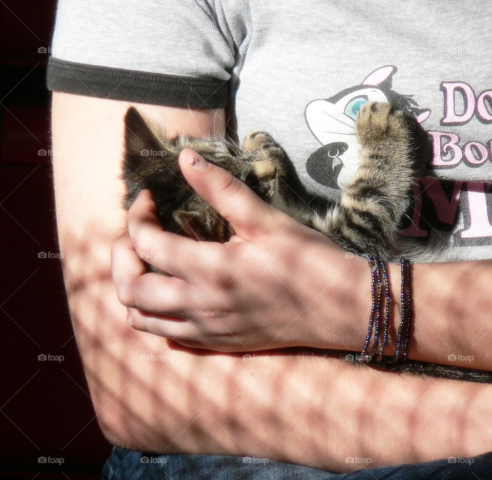 Loving arms. A kitten up for adoption is cuddled in the crook of its potential owner's arm