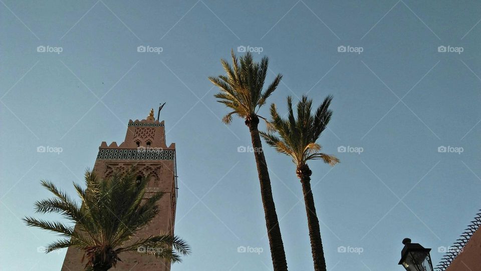 Ancient minaret and palm trees.