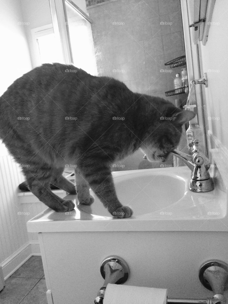 Baby in the sink