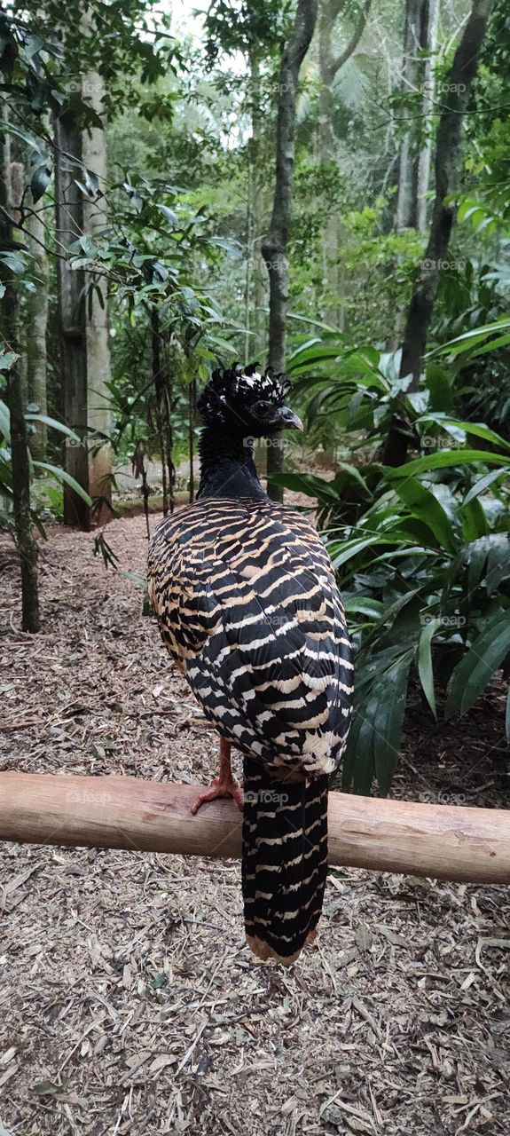 argentinian landscape