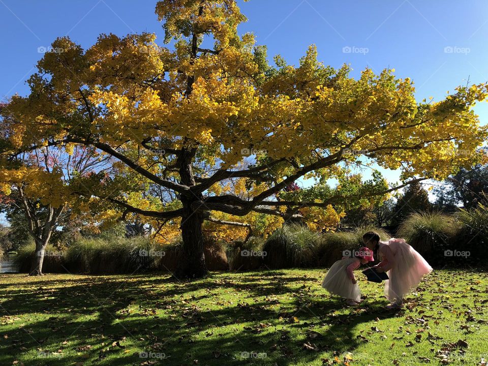 Sunday afternoon in mona vale