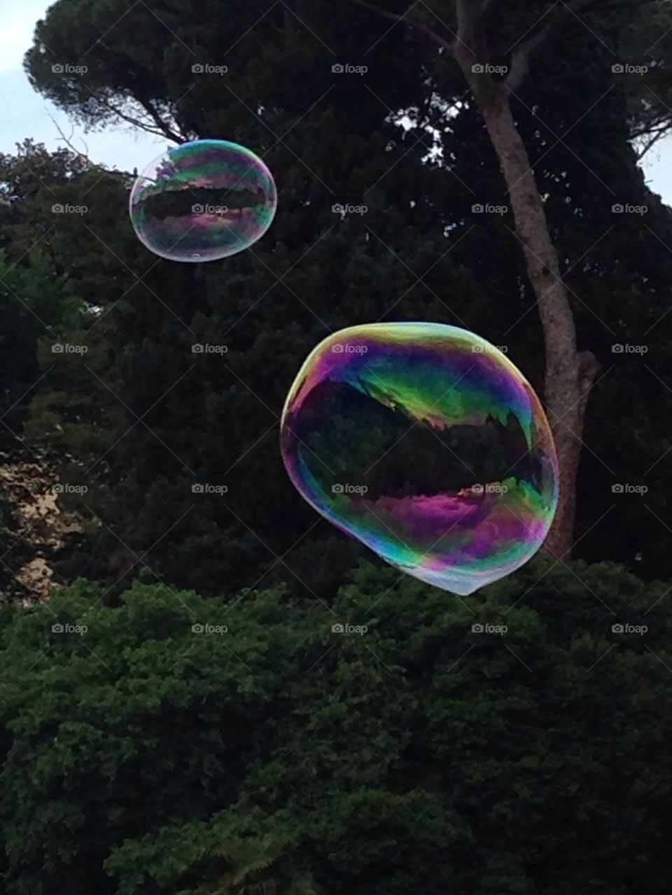 Bubble blower 