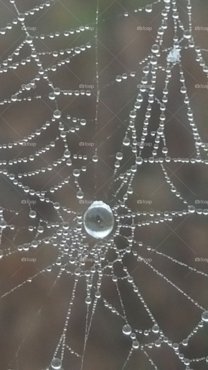 web