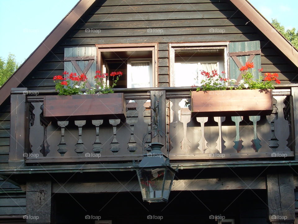 Window- Germany