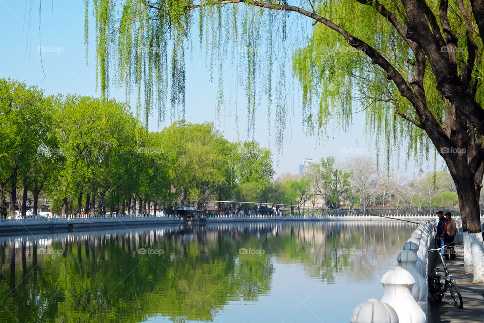 Winter in Shichahai, Beijing