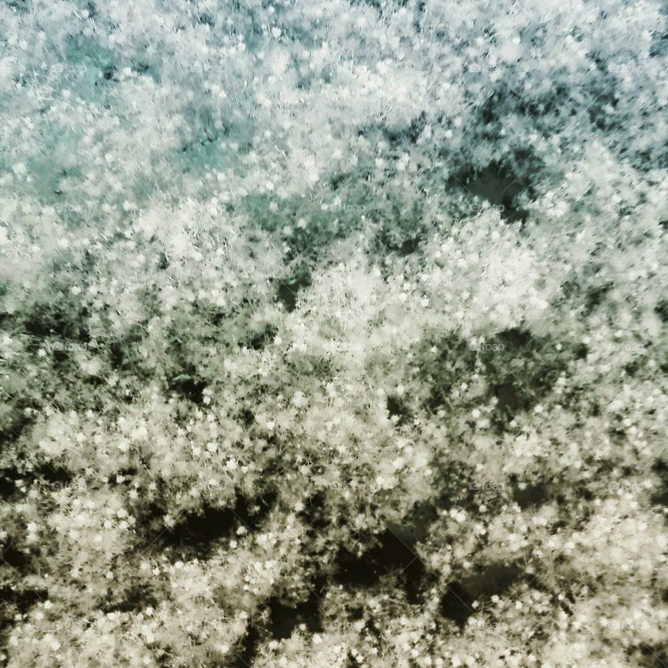 Close up of snow flakes on a car window