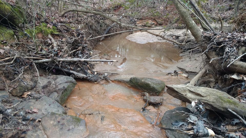 Nature, Water, Environment, River, Wood