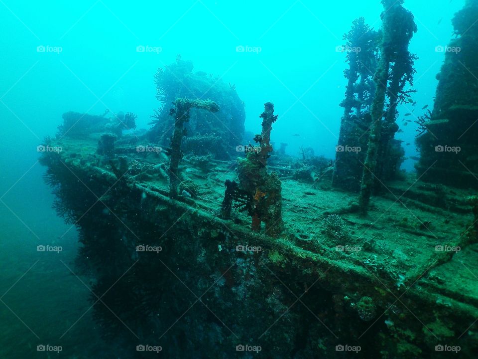 Shipwreck underwater at sea