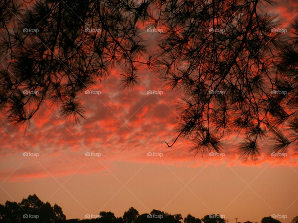 Sky on fire. Sunset,  pôr-do-sol, poente. Bento Gonçalves,  RS,  Brasil.