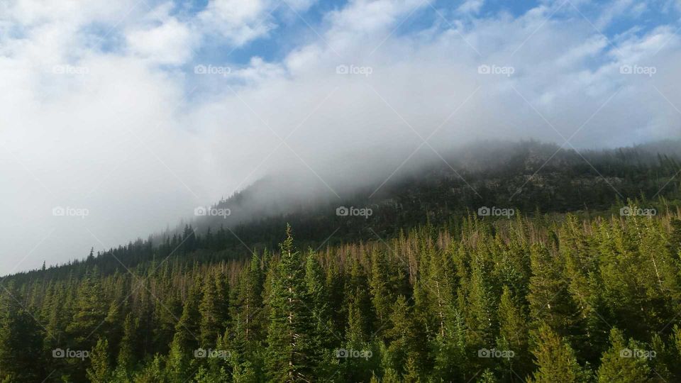low clouds on mountain