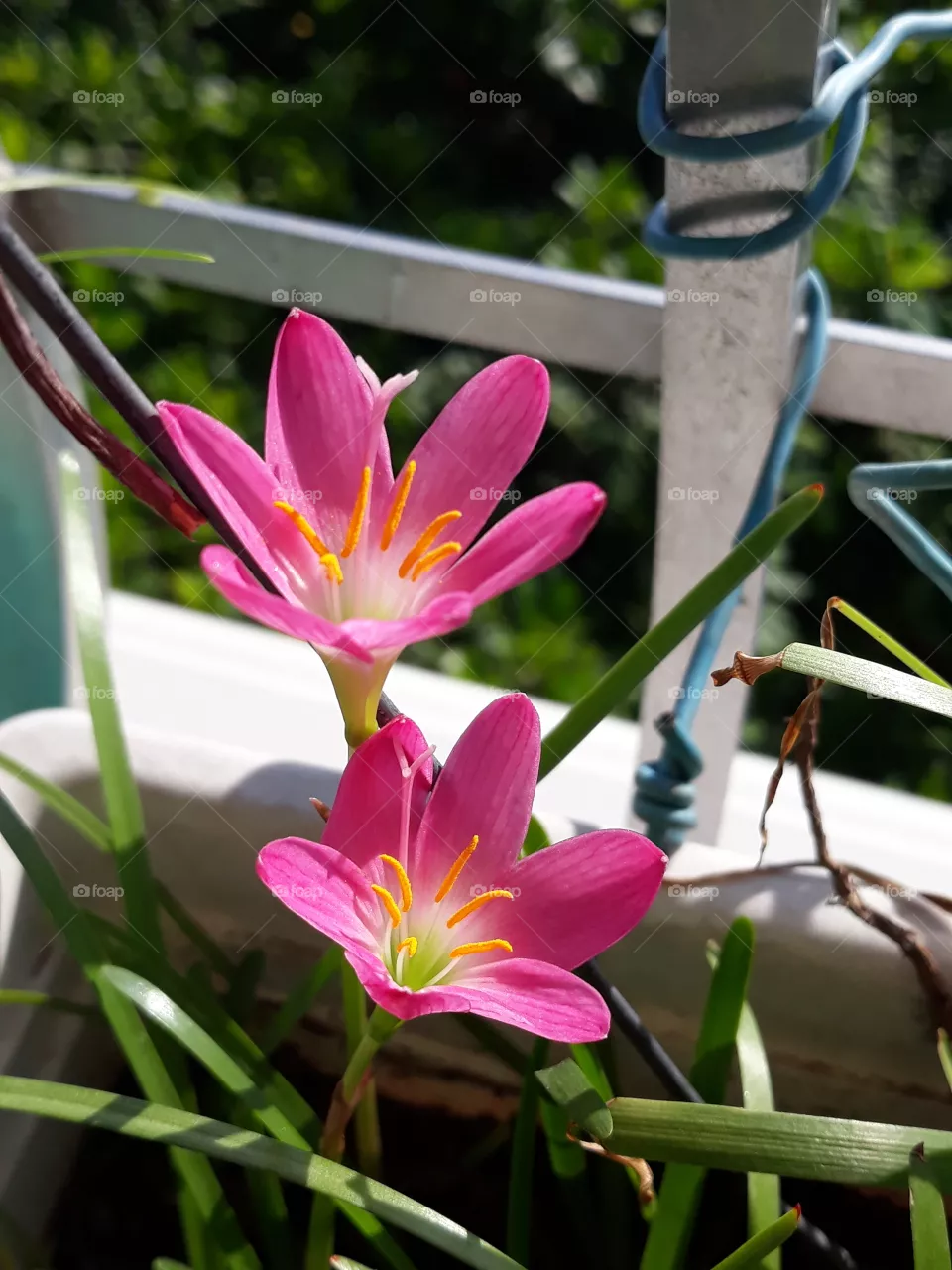 Nature