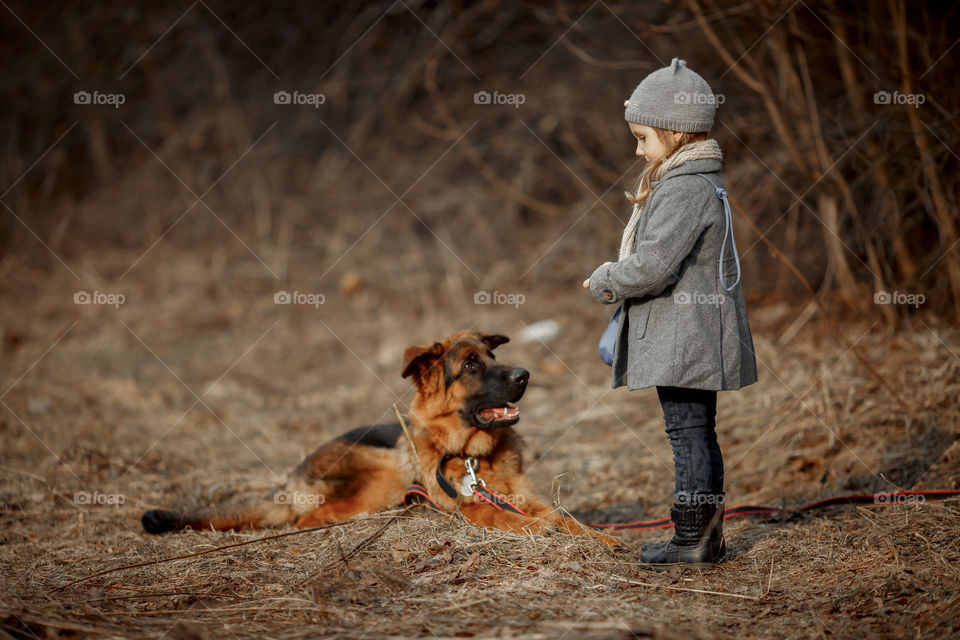 Little girl with German shepherd young male dog walking outdoor at spring day