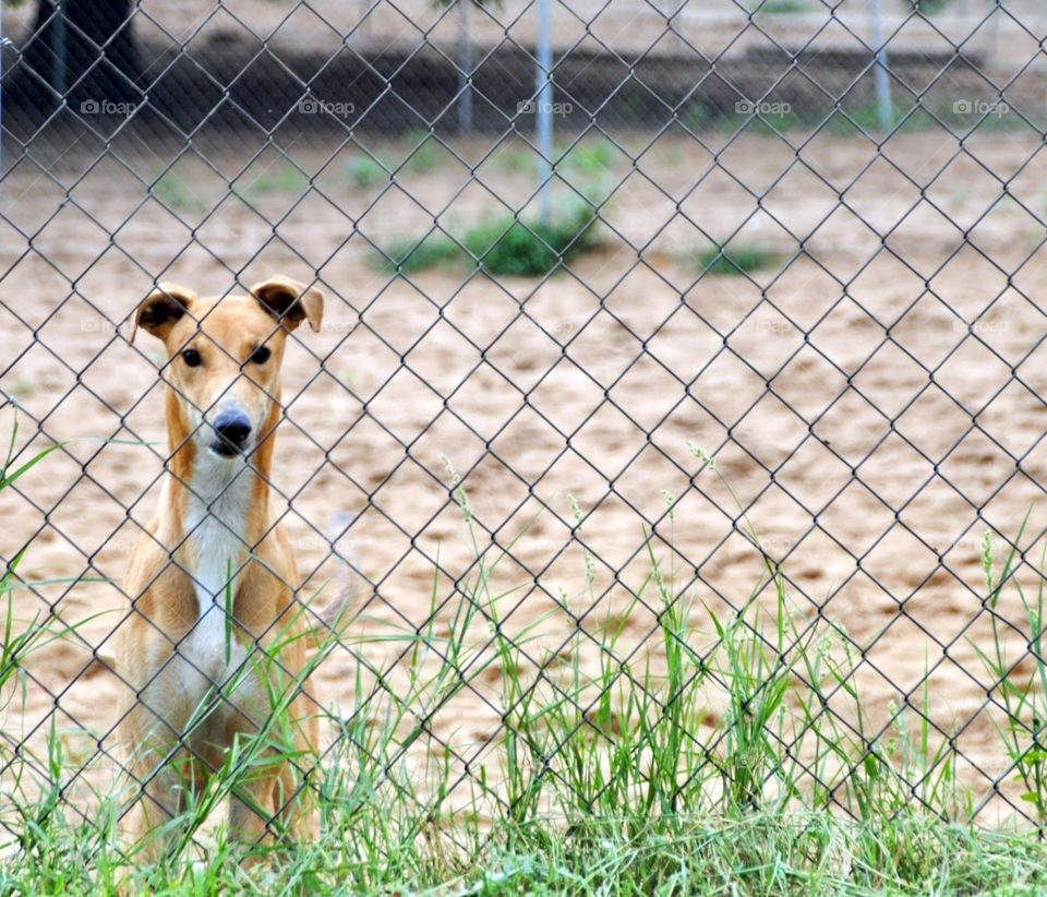 Does Anyone Want to Come Play?