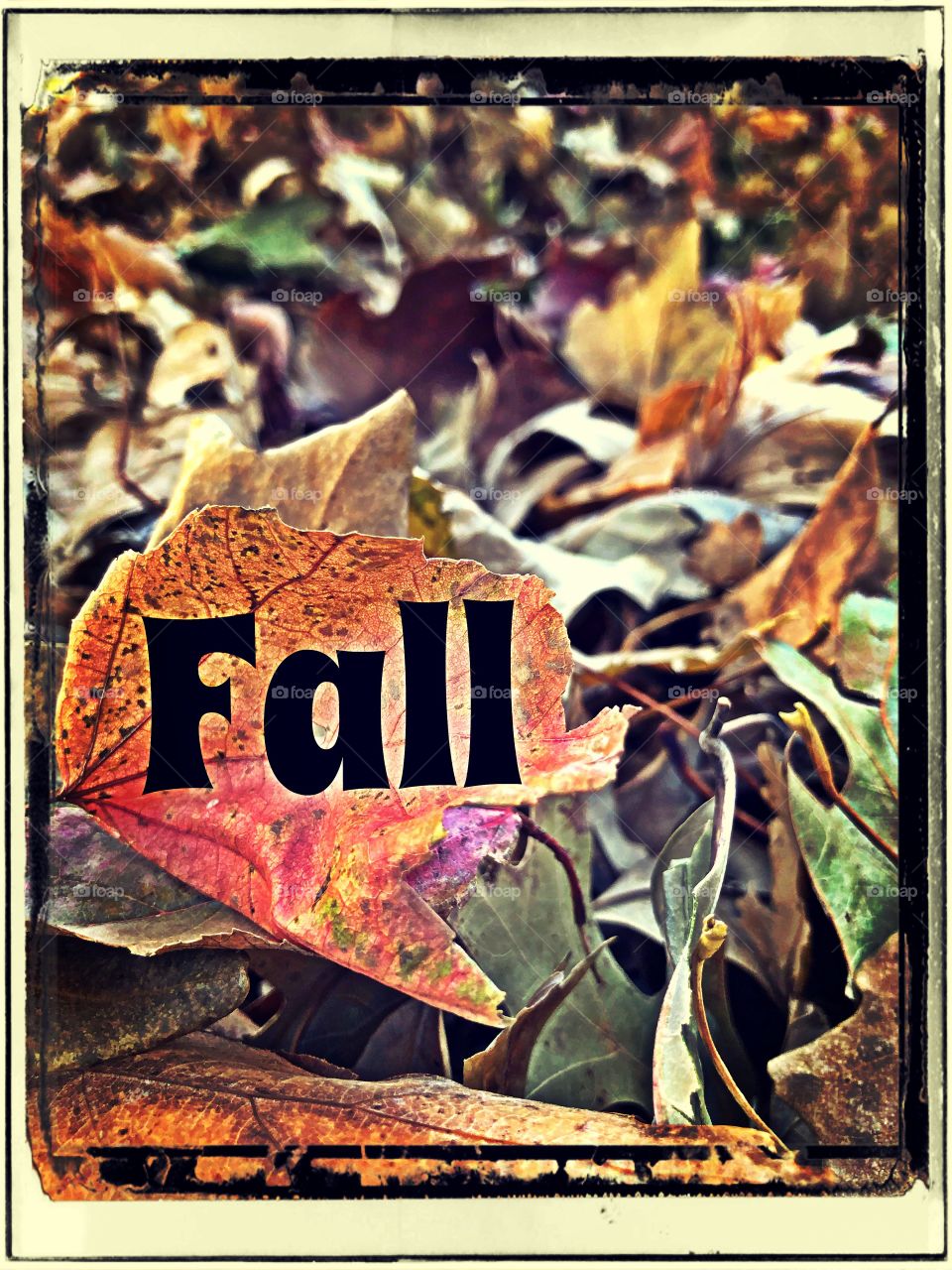 Fall is the best of all