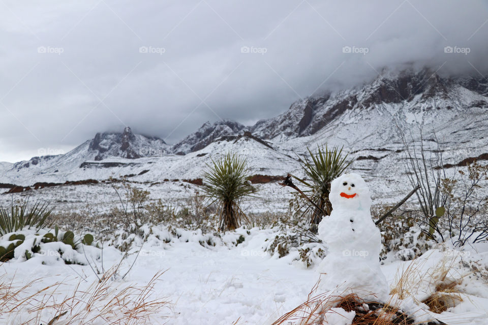 Lonely snowman at a foggy day at Big Bend