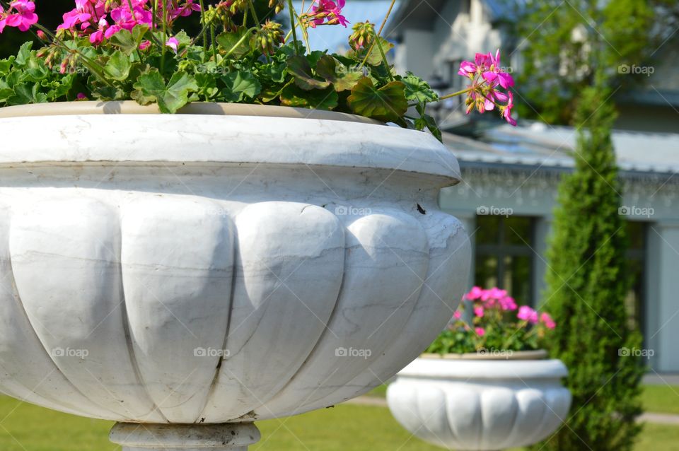 pots of flowers