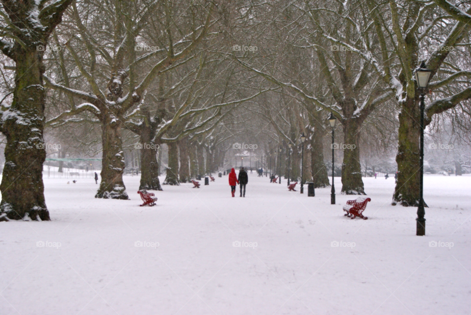 london battersea park snow trees cold by angeljack