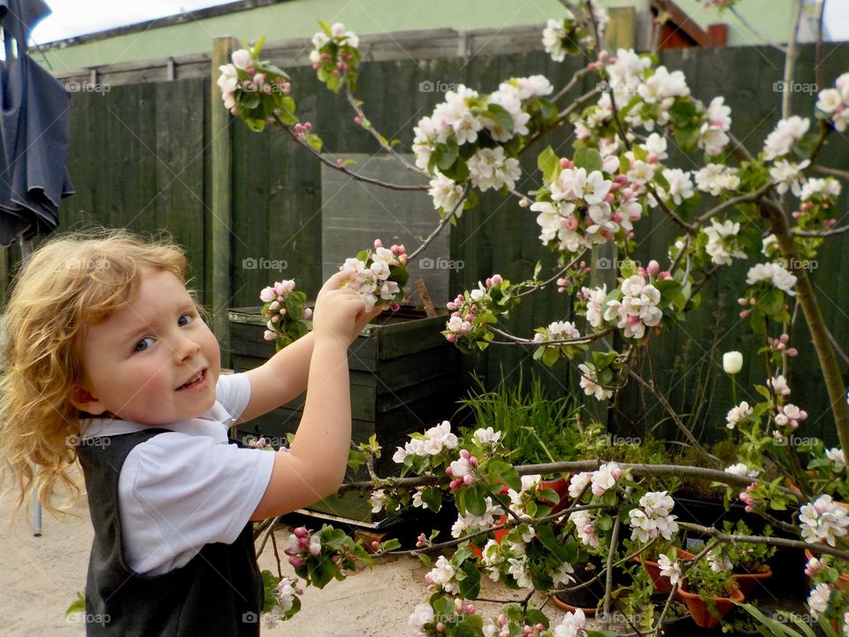 There’s a ladybird in the apple blossom 