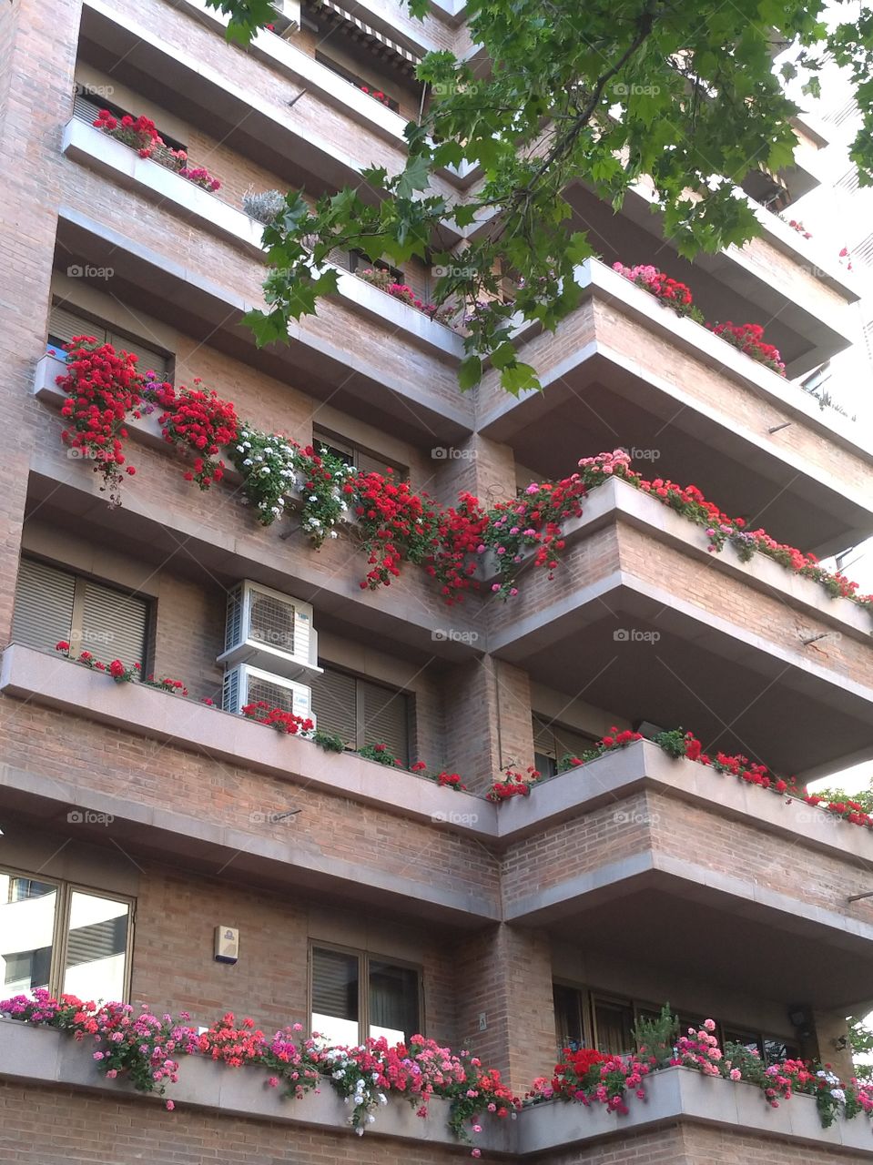 Una tachada con flores en sus terrazas