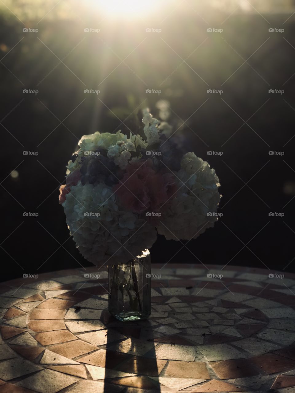 Backlit bouquet