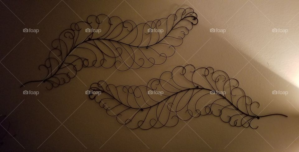 feathers on wall