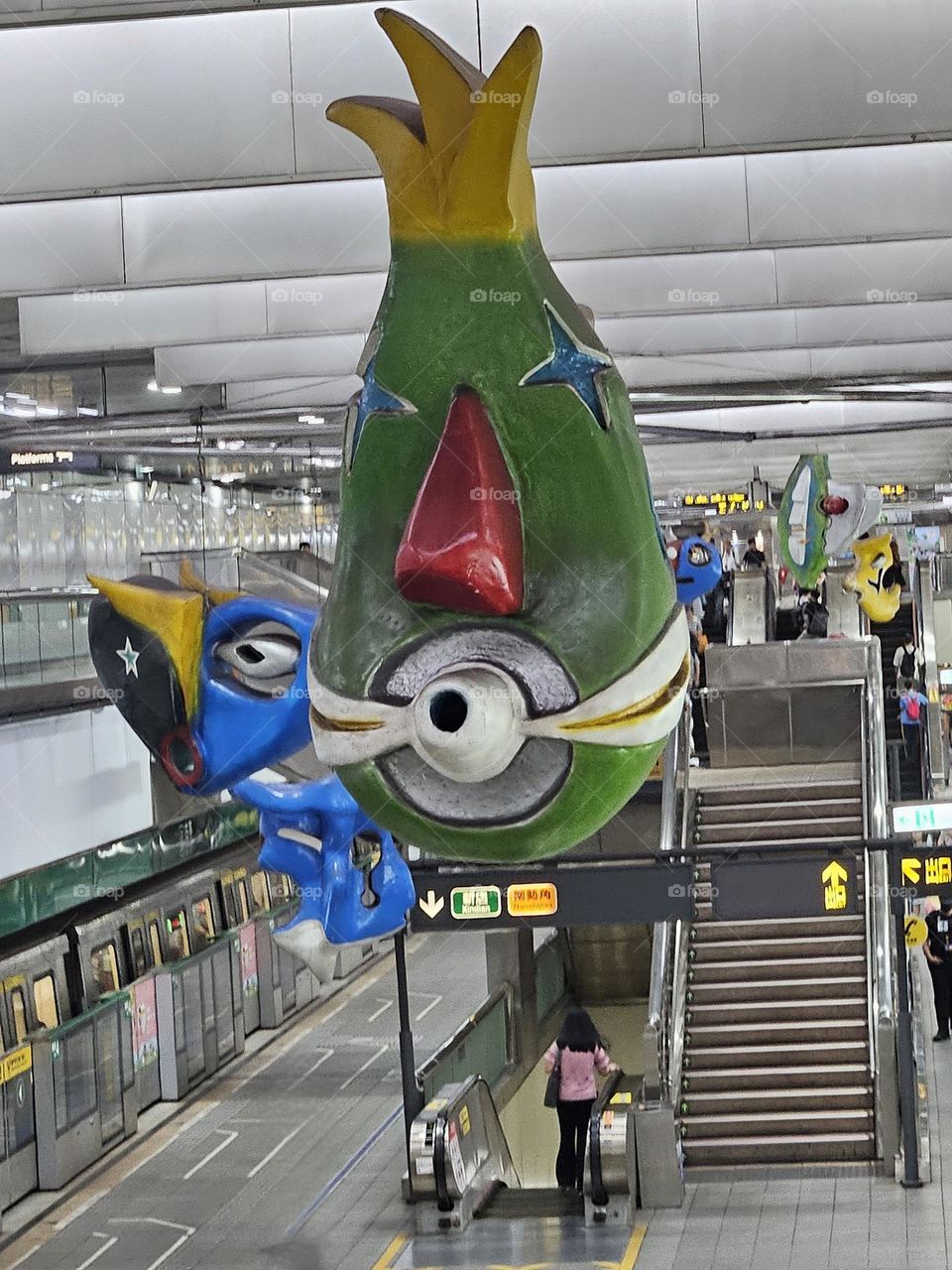 who are you and why are you here