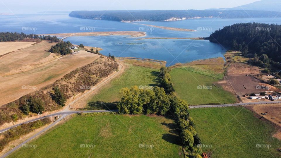 Meadows of park land