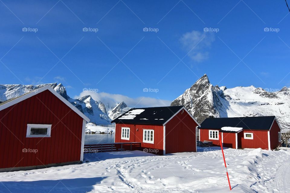 Lofoten fishing village