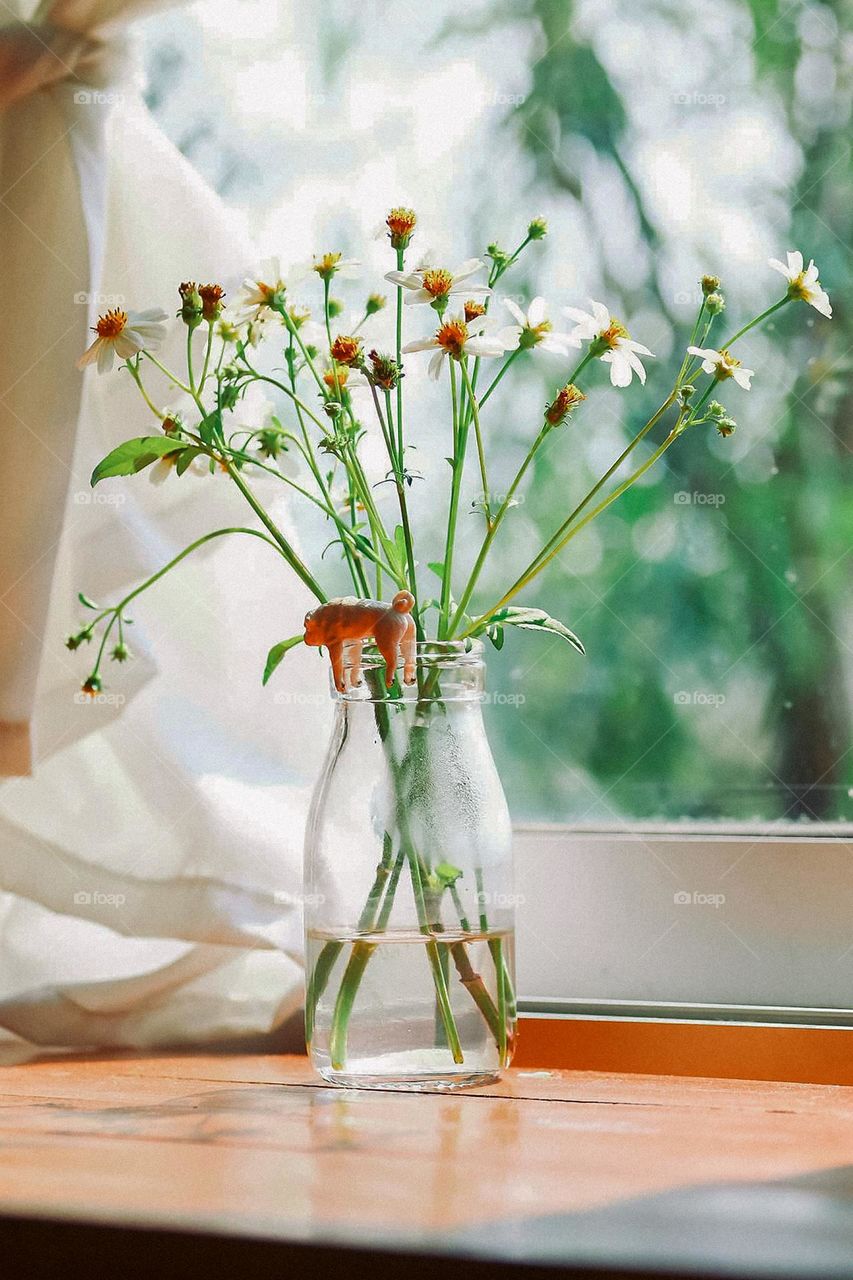 flowers in a Vase